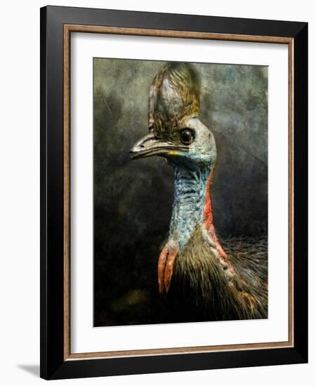 A Taxidermy Cassowary-Clive Nolan-Framed Photographic Print