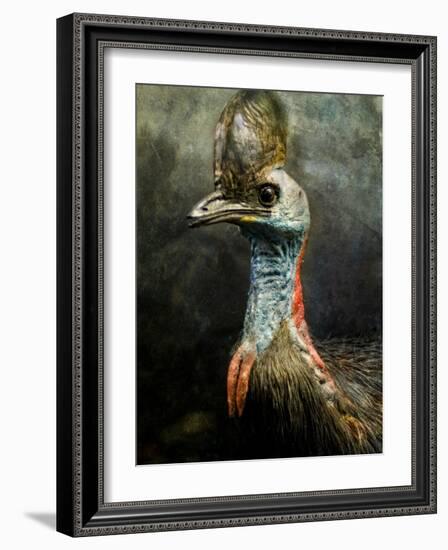 A Taxidermy Cassowary-Clive Nolan-Framed Photographic Print