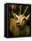 A Taxidermy Thomson's Gazelle-Clive Nolan-Framed Premier Image Canvas