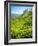 A Tea Plantation in Munnar, Kerala, India-Andrew Pini-Framed Photographic Print