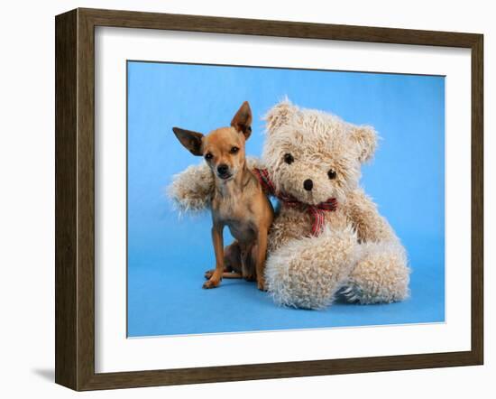 A Teddy Bear With His Arm Around A Tiny Chihuahua-graphicphoto-Framed Photographic Print