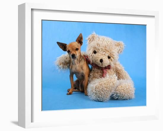 A Teddy Bear With His Arm Around A Tiny Chihuahua-graphicphoto-Framed Photographic Print