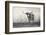 A Texas Longhorn-Debra Van Swearingen-Framed Photographic Print