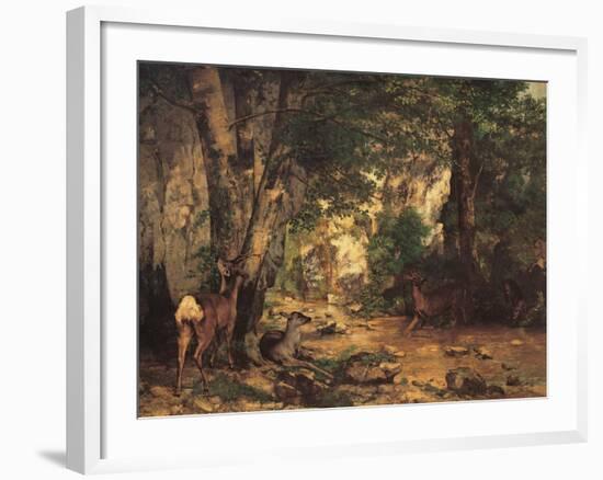 A Thicket of Roe Deer at the Stream of Plaisir Fontaine-Gustave Courbet-Framed Giclee Print