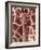 A Three Week Old Baby Giraffe at Whipsnade Wild Animal Park Pictured in Front of Its Mother-null-Framed Photographic Print