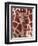 A Three Week Old Baby Giraffe at Whipsnade Wild Animal Park Pictured in Front of Its Mother-null-Framed Photographic Print