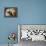 A Tibetan, a Cairn and a Silky Terrier-Lilian Cheviot-Framed Premier Image Canvas displayed on a wall