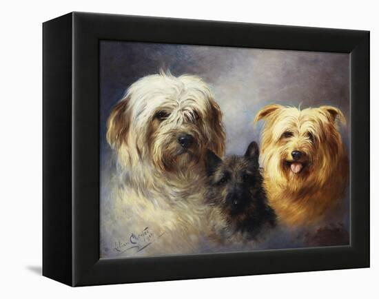 A Tibetan, a Cairn and a Silky Terrier-Lilian Cheviot-Framed Premier Image Canvas