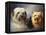 A Tibetan, a Cairn and a Silky Terrier-Lilian Cheviot-Framed Premier Image Canvas