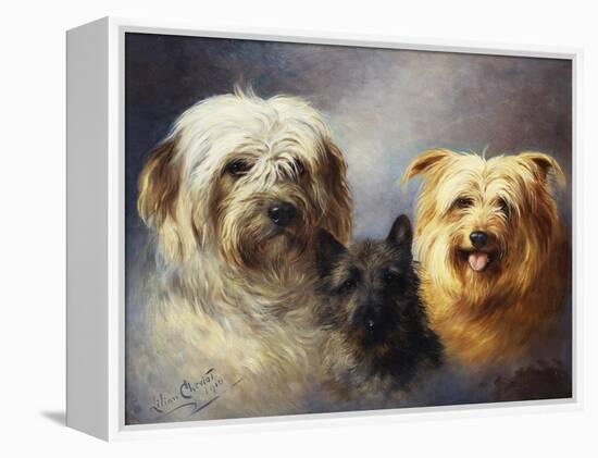 A Tibetan, a Cairn and a Silky Terrier-Lilian Cheviot-Framed Premier Image Canvas