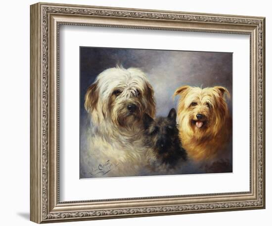 A Tibetan, a Cairn and a Silky Terrier-Lilian Cheviot-Framed Giclee Print