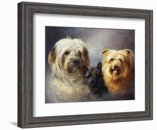 A Tibetan, a Cairn and a Silky Terrier-Lilian Cheviot-Framed Giclee Print