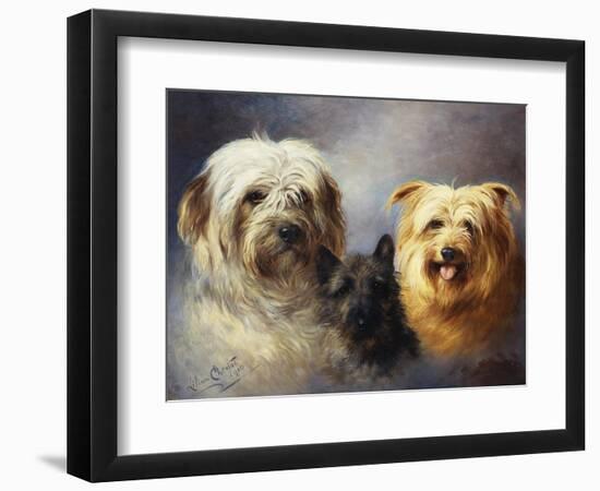 A Tibetan, a Cairn and a Silky Terrier-Lilian Cheviot-Framed Giclee Print