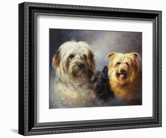 A Tibetan, a Cairn and a Silky Terrier-Lilian Cheviot-Framed Giclee Print