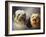 A Tibetan, a Cairn and a Silky Terrier-Lilian Cheviot-Framed Giclee Print