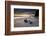 A tide pool on Duckpool beach, North Cornwall, UK-Ross Hoddinott-Framed Photographic Print