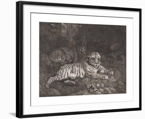 A Tiger and a Sleeping Leopard-George Stubbs-Framed Premium Giclee Print