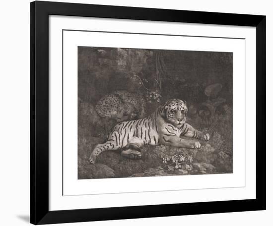 A Tiger and a Sleeping Leopard-George Stubbs-Framed Premium Giclee Print