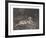 A Tiger and a Sleeping Leopard-George Stubbs-Framed Premium Giclee Print
