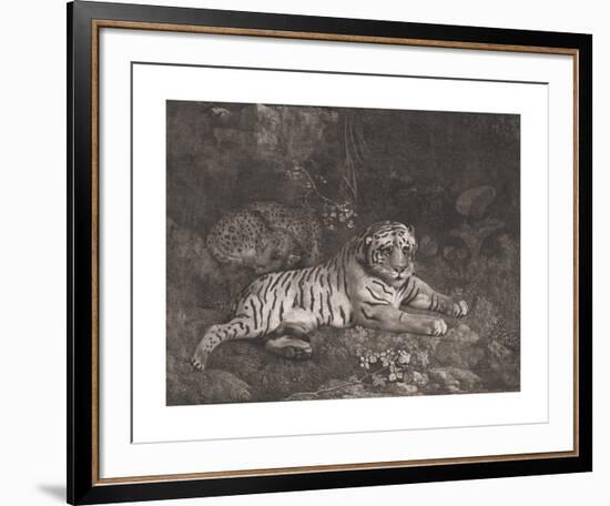 A Tiger and a Sleeping Leopard-George Stubbs-Framed Premium Giclee Print