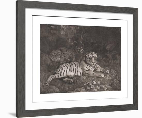 A Tiger and a Sleeping Leopard-George Stubbs-Framed Premium Giclee Print