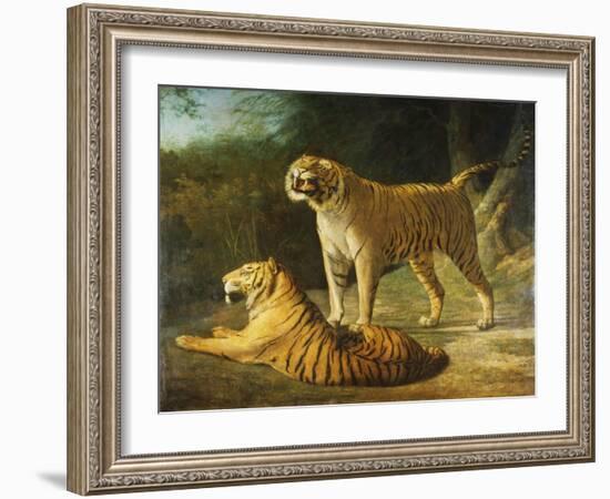 A Tiger and Tigress at the Exeter 'Change Menagerie in 1808, 1808-Jacques-Laurent Agasse-Framed Giclee Print