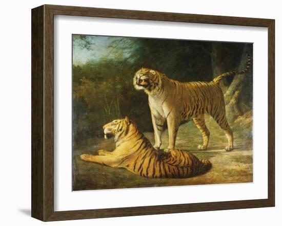 A Tiger and Tigress at the Exeter 'Change Menagerie in 1808, 1808-Jacques-Laurent Agasse-Framed Giclee Print