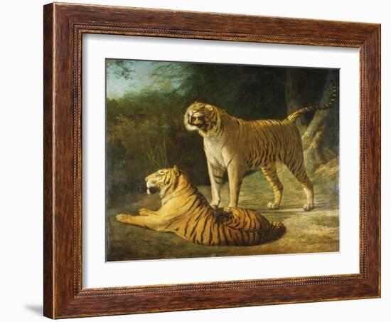 A Tiger and Tigress at the Exeter 'Change Menagerie in 1808, 1808-Jacques-Laurent Agasse-Framed Giclee Print