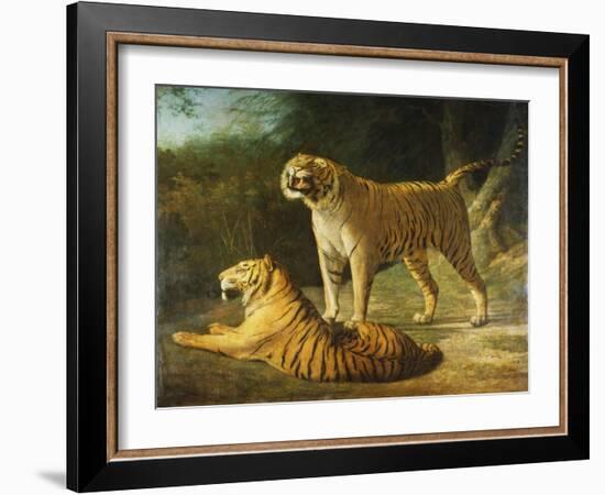 A Tiger and Tigress at the Exeter 'Change Menagerie in 1808, 1808-Jacques-Laurent Agasse-Framed Giclee Print