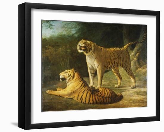 A Tiger and Tigress at the Exeter 'Change Menagerie in 1808, 1808-Jacques-Laurent Agasse-Framed Giclee Print