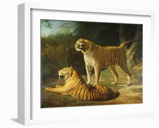 A Tiger and Tigress at the Exeter 'Change Menagerie in 1808, 1808-Jacques-Laurent Agasse-Framed Giclee Print