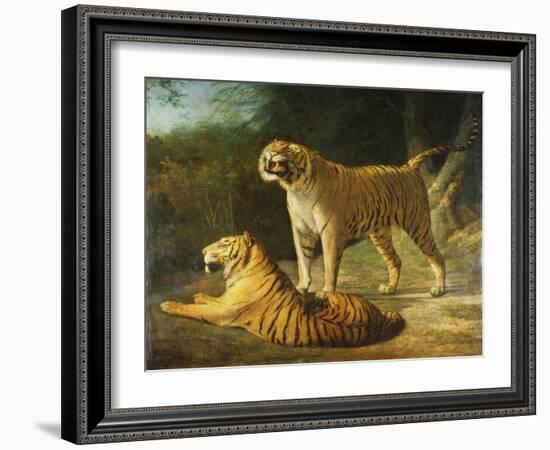 A Tiger and Tigress at the Exeter 'Change Menagerie in 1808, 1808-Jacques-Laurent Agasse-Framed Giclee Print