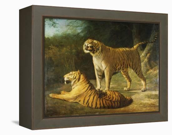 A Tiger and Tigress at the Exeter 'Change Menagerie in 1808, 1808-Jacques-Laurent Agasse-Framed Premier Image Canvas