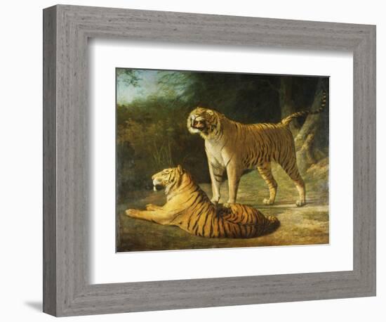 A Tiger and Tigress at the Exeter 'Change Menagerie in 1808, 1808-Jacques-Laurent Agasse-Framed Giclee Print