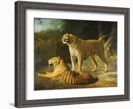 A Tiger and Tigress at the Exeter 'Change Menagerie in 1808-Jacques-Laurent Agasse-Framed Giclee Print