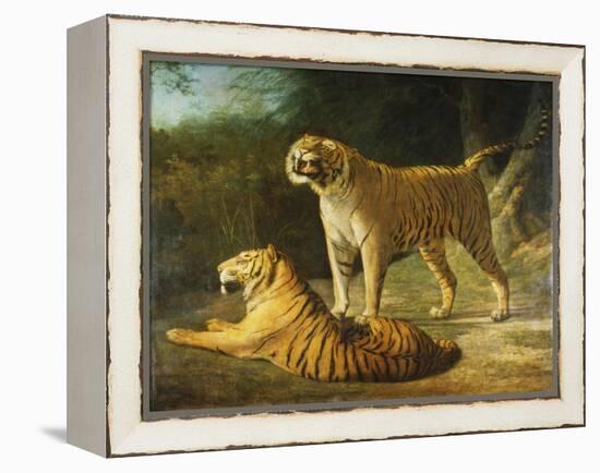 A Tiger and Tigress at the Exeter 'Change Menagerie in 1808-Jacques-Laurent Agasse-Framed Premier Image Canvas