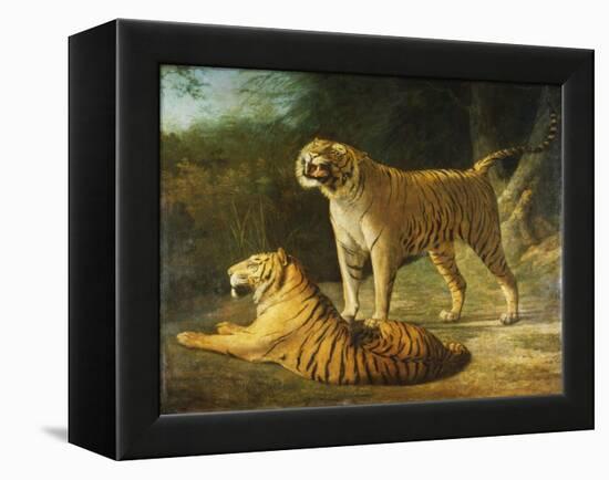 A Tiger and Tigress at the Exeter 'Change Menagerie in 1808-Jacques-Laurent Agasse-Framed Premier Image Canvas