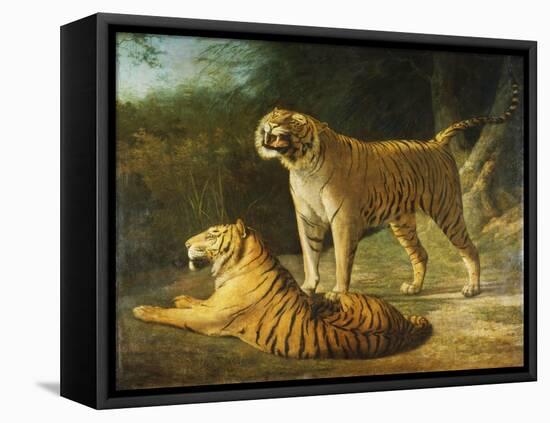 A Tiger and Tigress at the Exeter 'Change Menagerie in 1808-Jacques-Laurent Agasse-Framed Premier Image Canvas