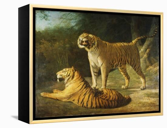 A Tiger and Tigress at the Exeter 'Change Menagerie in 1808-Jacques-Laurent Agasse-Framed Premier Image Canvas