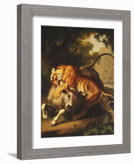 A Tiger Attacking a Bull, 1785-Johan Wenzel Peter-Framed Giclee Print