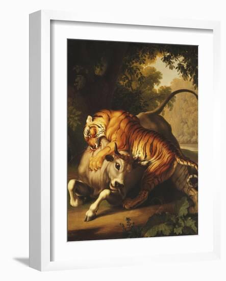 A Tiger Attacking a Bull, 1785-Johan Wenzel Peter-Framed Giclee Print