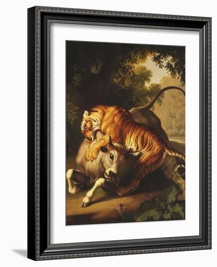 A Tiger Attacking a Bull, 1785-Johan Wenzel Peter-Framed Giclee Print