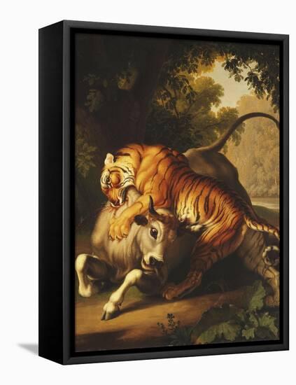 A Tiger Attacking a Bull, 1785-Johan Wenzel Peter-Framed Premier Image Canvas