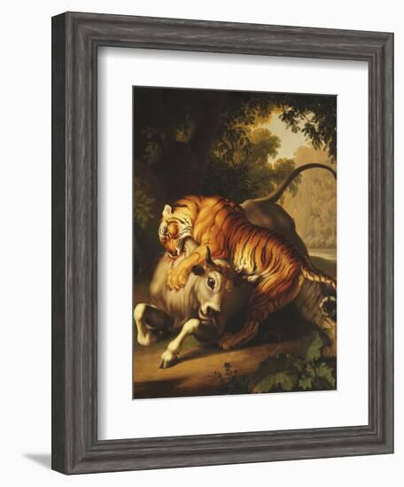 A Tiger Attacking a Bull, 1785-Johan Wenzel Peter-Framed Giclee Print