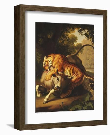 A Tiger Attacking a Bull, 1785-Johan Wenzel Peter-Framed Giclee Print