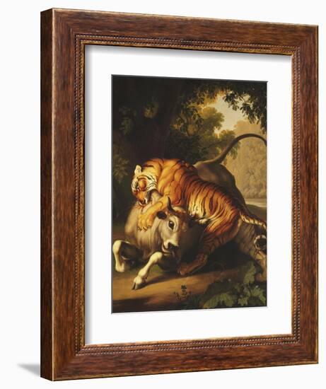 A Tiger Attacking a Bull, 1785-Johan Wenzel Peter-Framed Giclee Print