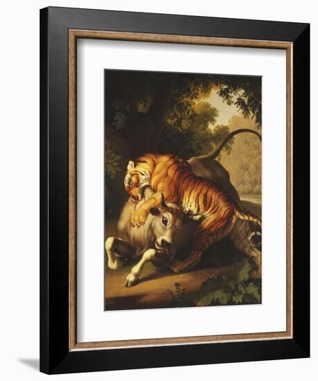 A Tiger Attacking a Bull, 1785-Johan Wenzel Peter-Framed Giclee Print