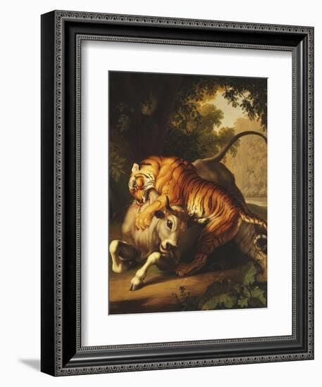 A Tiger Attacking a Bull, 1785-Johan Wenzel Peter-Framed Giclee Print