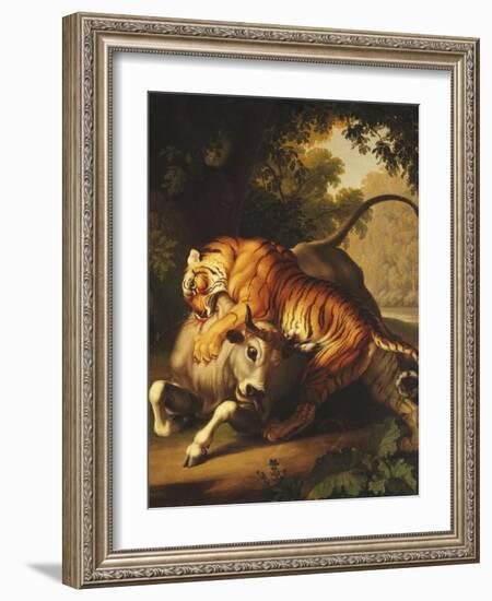 A Tiger Attacking a Bull, 1785-Johan Wenzel Peter-Framed Premium Giclee Print