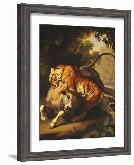 A Tiger Attacking a Bull, 1785-Johan Wenzel Peter-Framed Premium Giclee Print